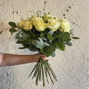 Smukke lange hvide roser